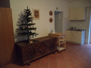 The living room with kitchen