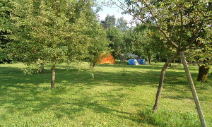 Der Campingplatz ist ein schöner grüner Obstgarten mit vielen Bäumen, die im Sommer Schatten spenden.