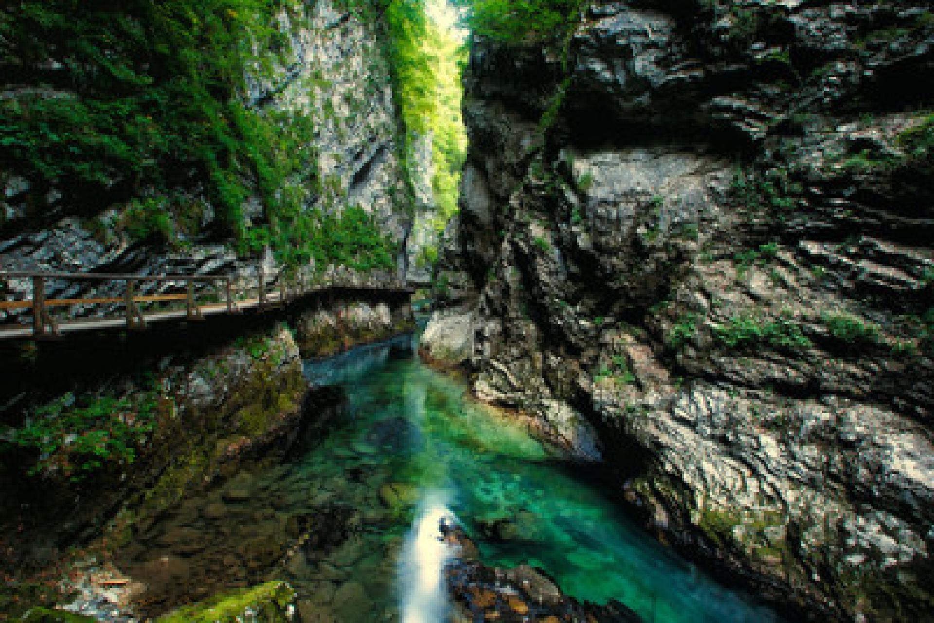 The Vintgar Gorge